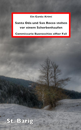Coverbild 11. Fall